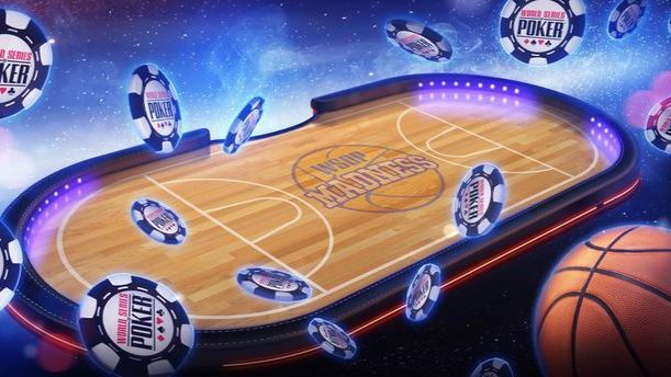 Greyhound Racing Betting Live Betting